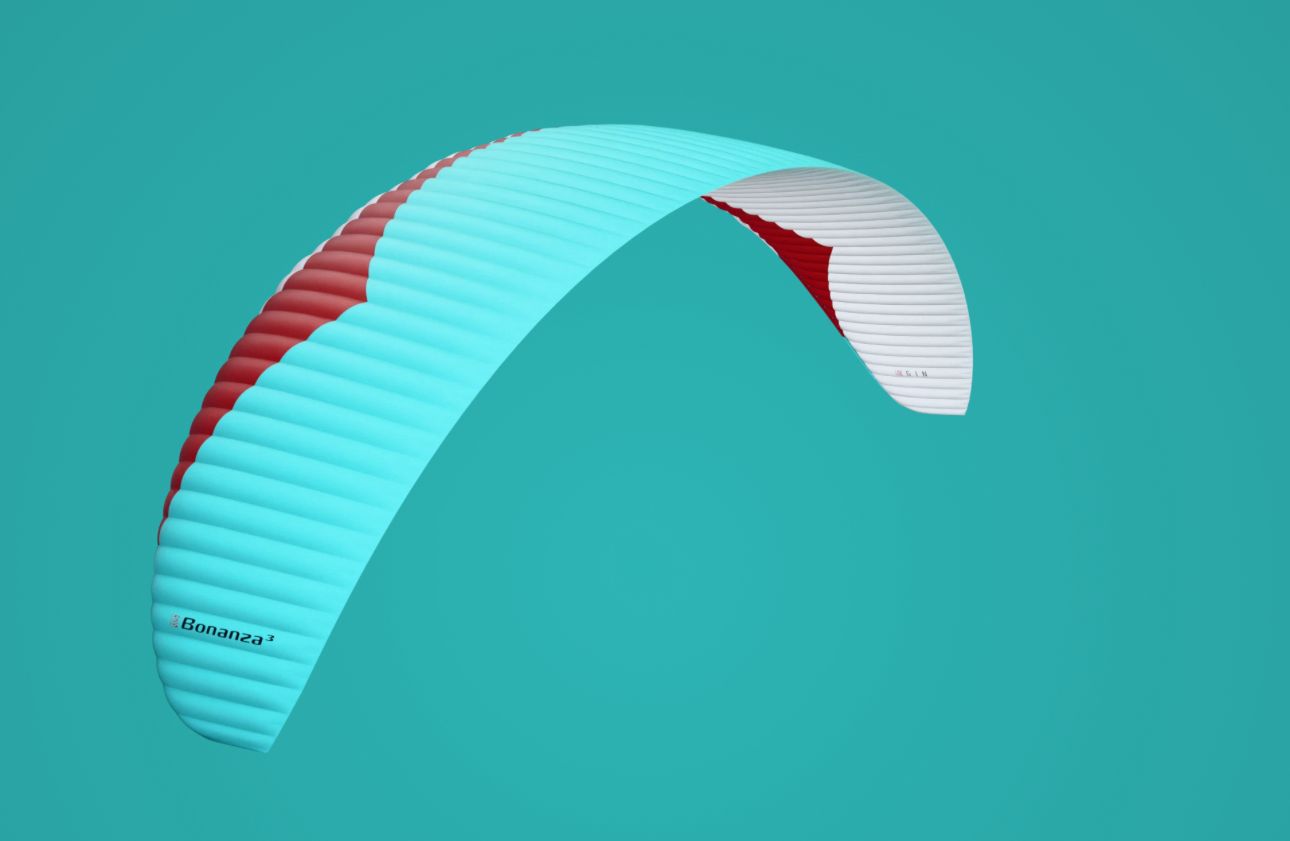 Bonanza C GIN - الصورة 2