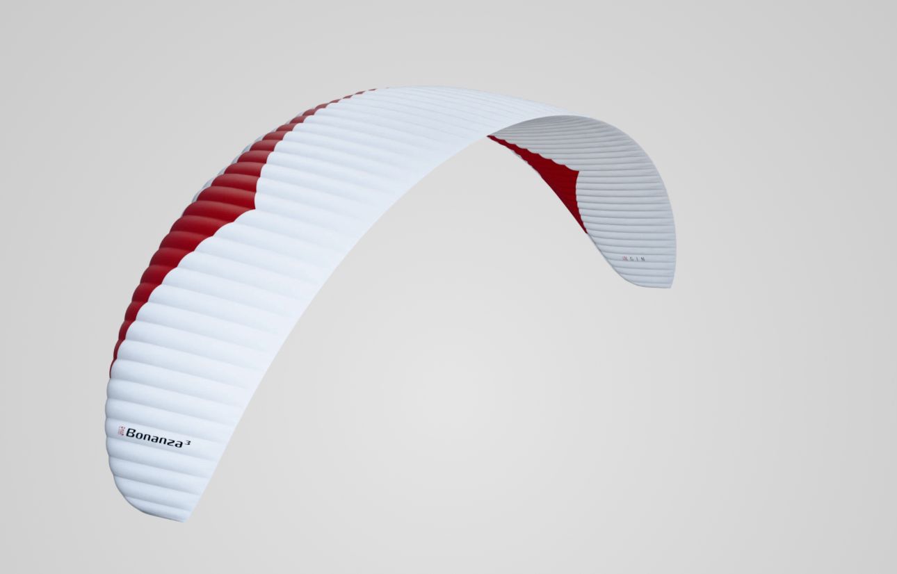 Bonanza C GIN - الصورة 4